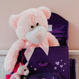 Pink Teddy Bear